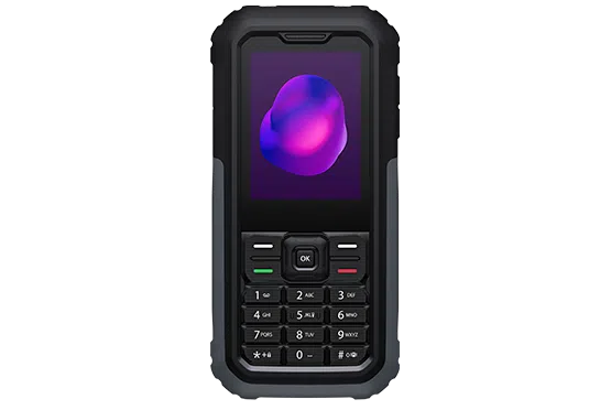 TCL 3189 Dual Sim - Telefono Facile e Affidabile