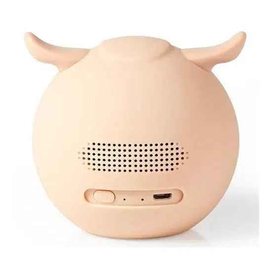 Cassa bluetooth