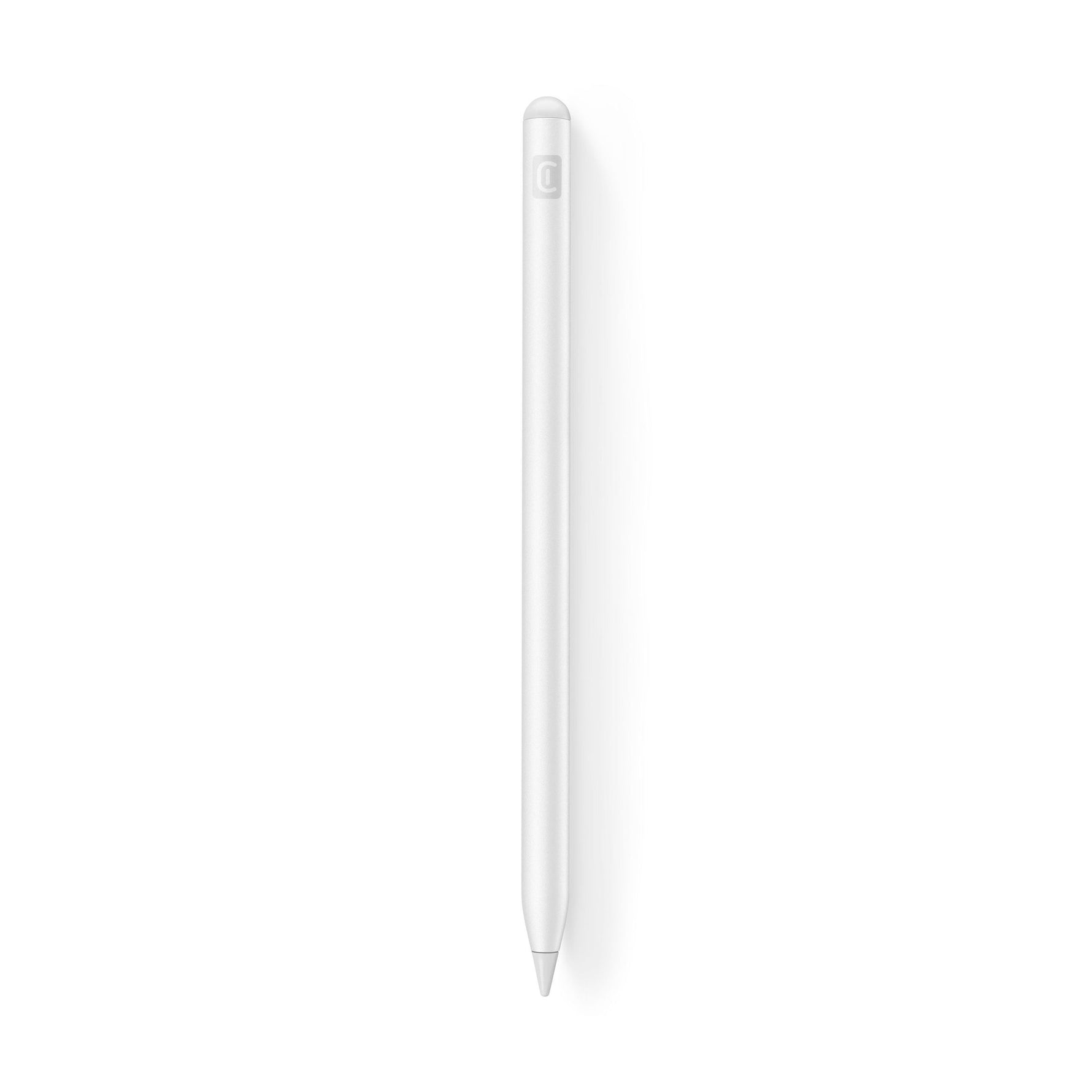 Stylus Pen per iPad