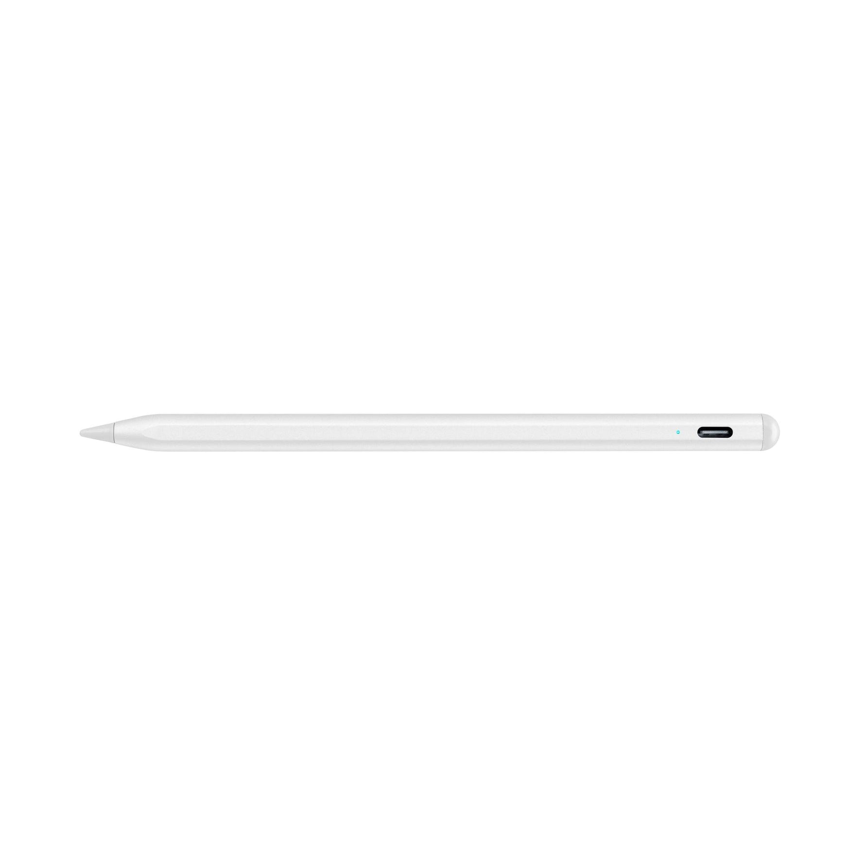 Stylus Pen per iPad